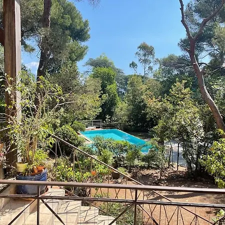 Beautiful With A Pool *