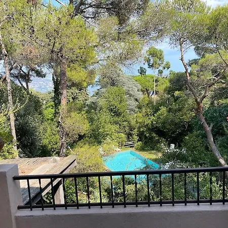 Beautiful With A Pool